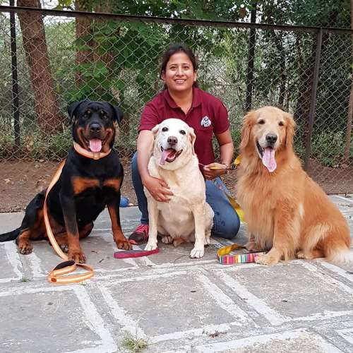 Perfect Place for Your Dog’s Care and Happiness